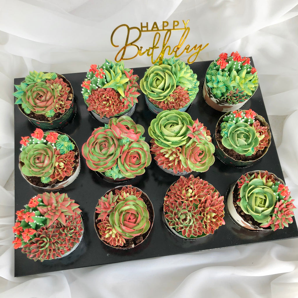 Happy Succulents 12 pcs Cupcake Box